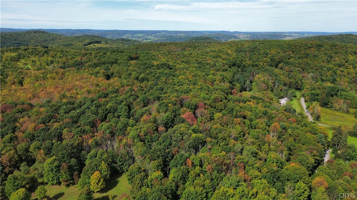 Lot 21 Buddle Road Richfield Springs, NY 13439 - Photo 10 of 21 Gallery Image 10