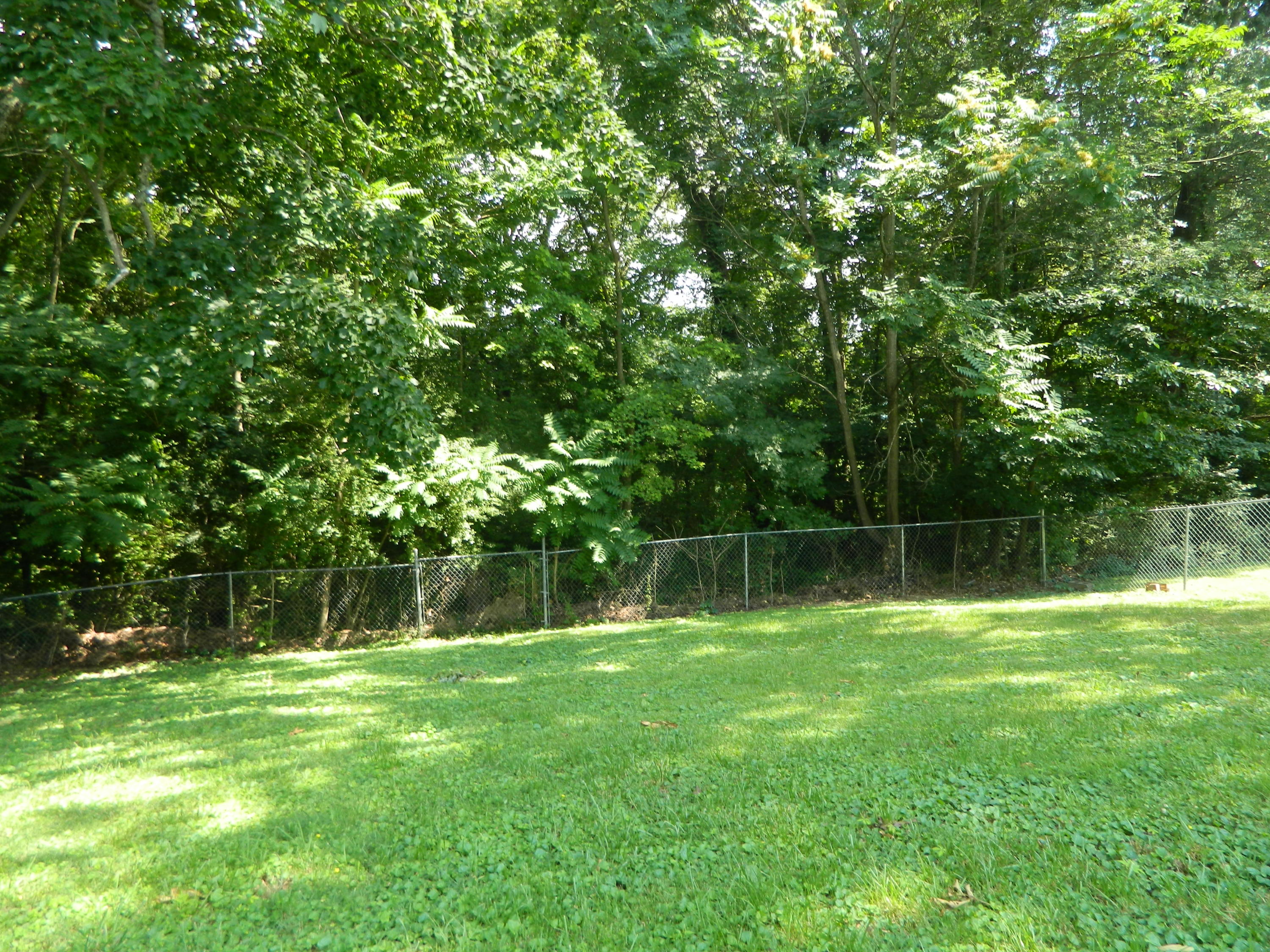 203 Jonathan Place Oak Ridge, TN 37830 - Photo 19 of 20 DSCN3320