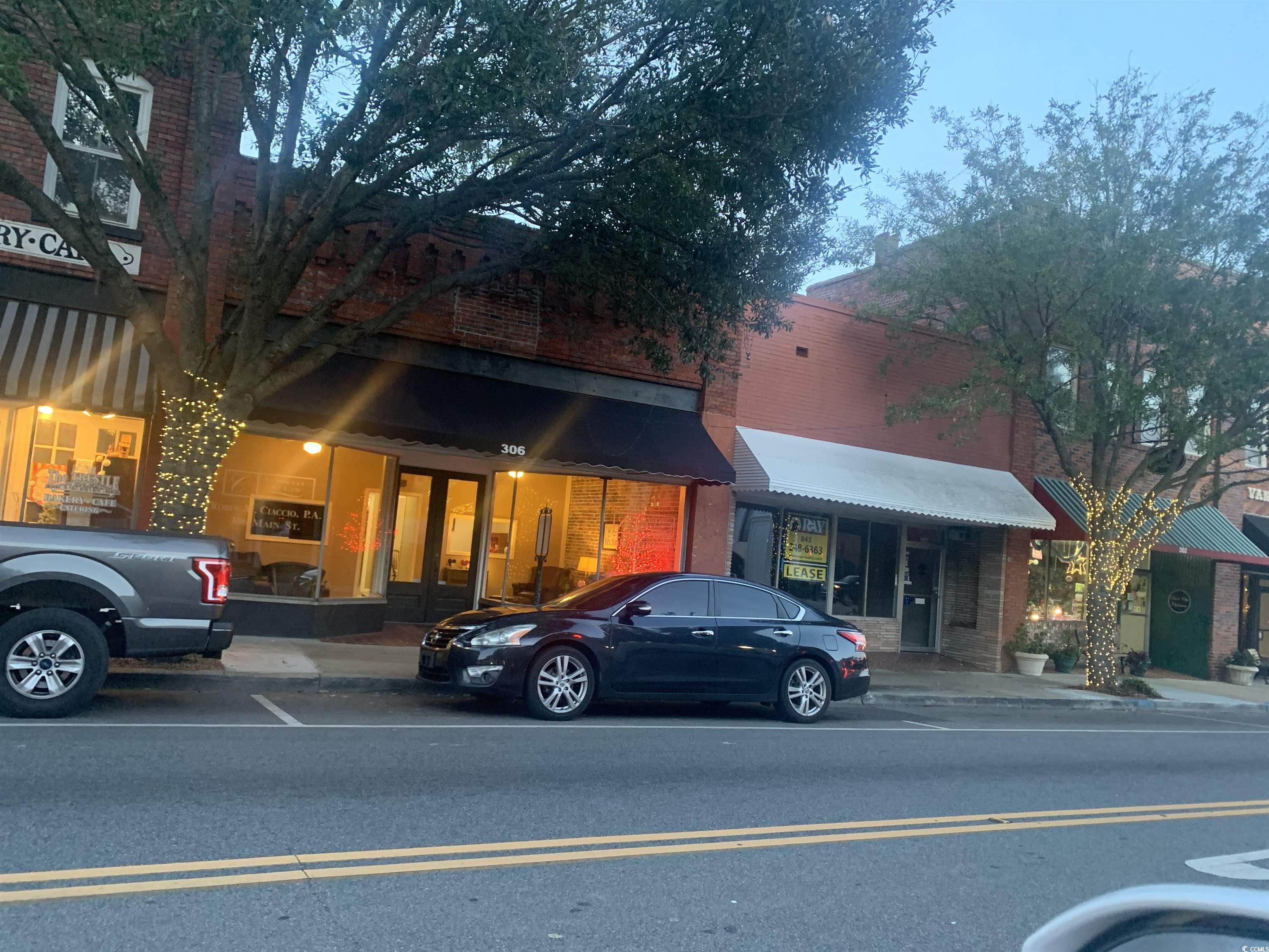 213 Blue Wing Court Conway, SC 29527 - Photo 12 of 12 View of front of property featuring french doors