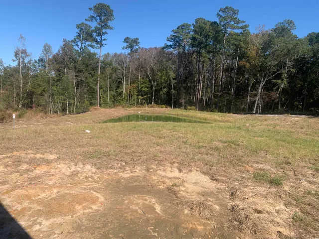 $362,337 | 213 Blue Wing Court, Conway, SC 29527