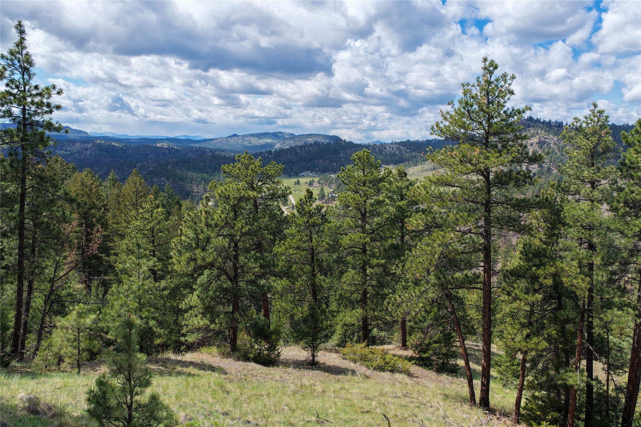 Tbd Dearborn River Road Cascade, MT 59421 - Photo 13 of 23 Gallery Image 13
