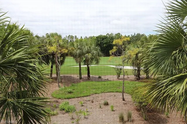 a view of a park with large trees