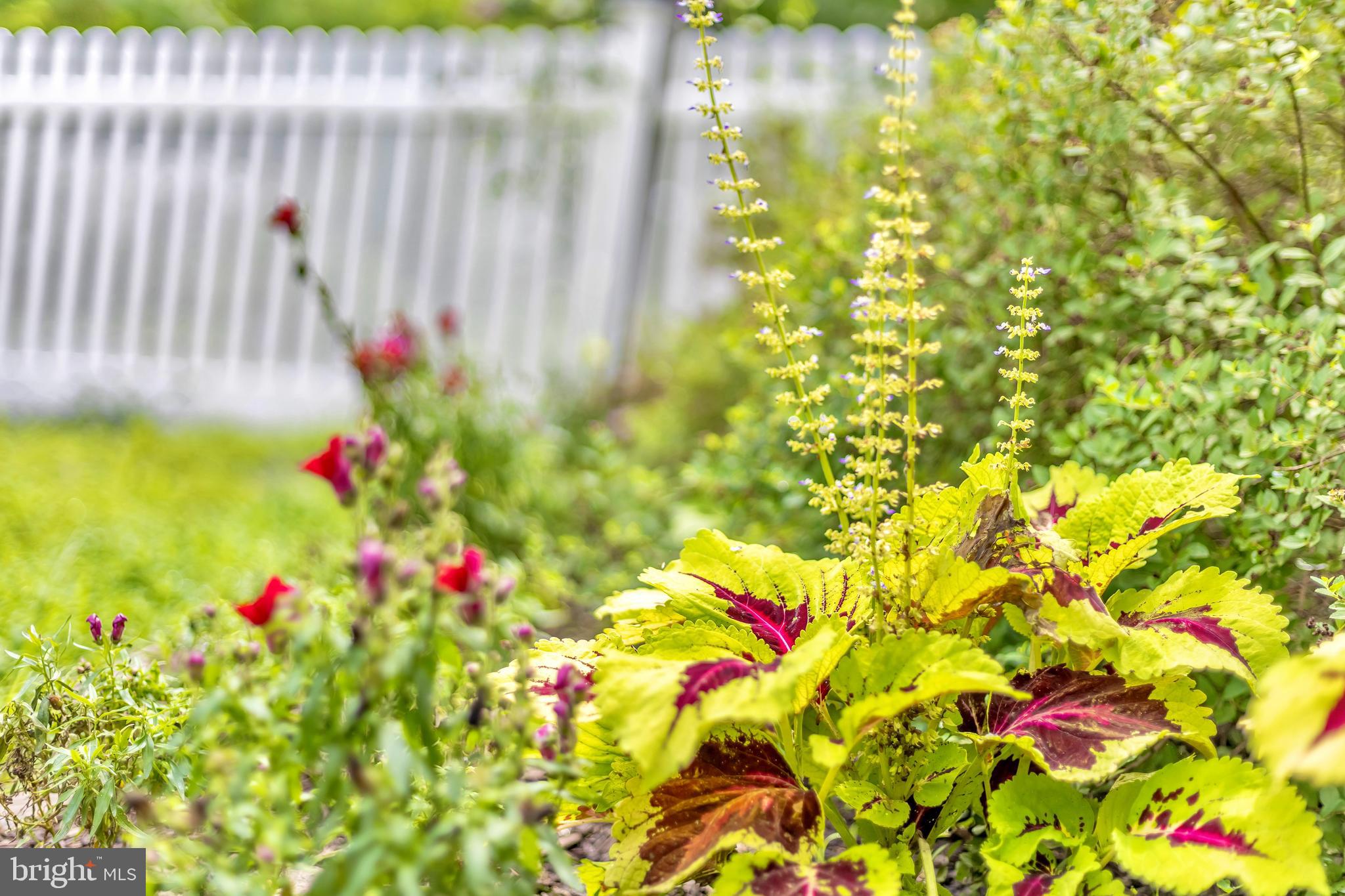 321 Front Street Crumpton, MD 21628 - Photo 43 of 59 More plantings