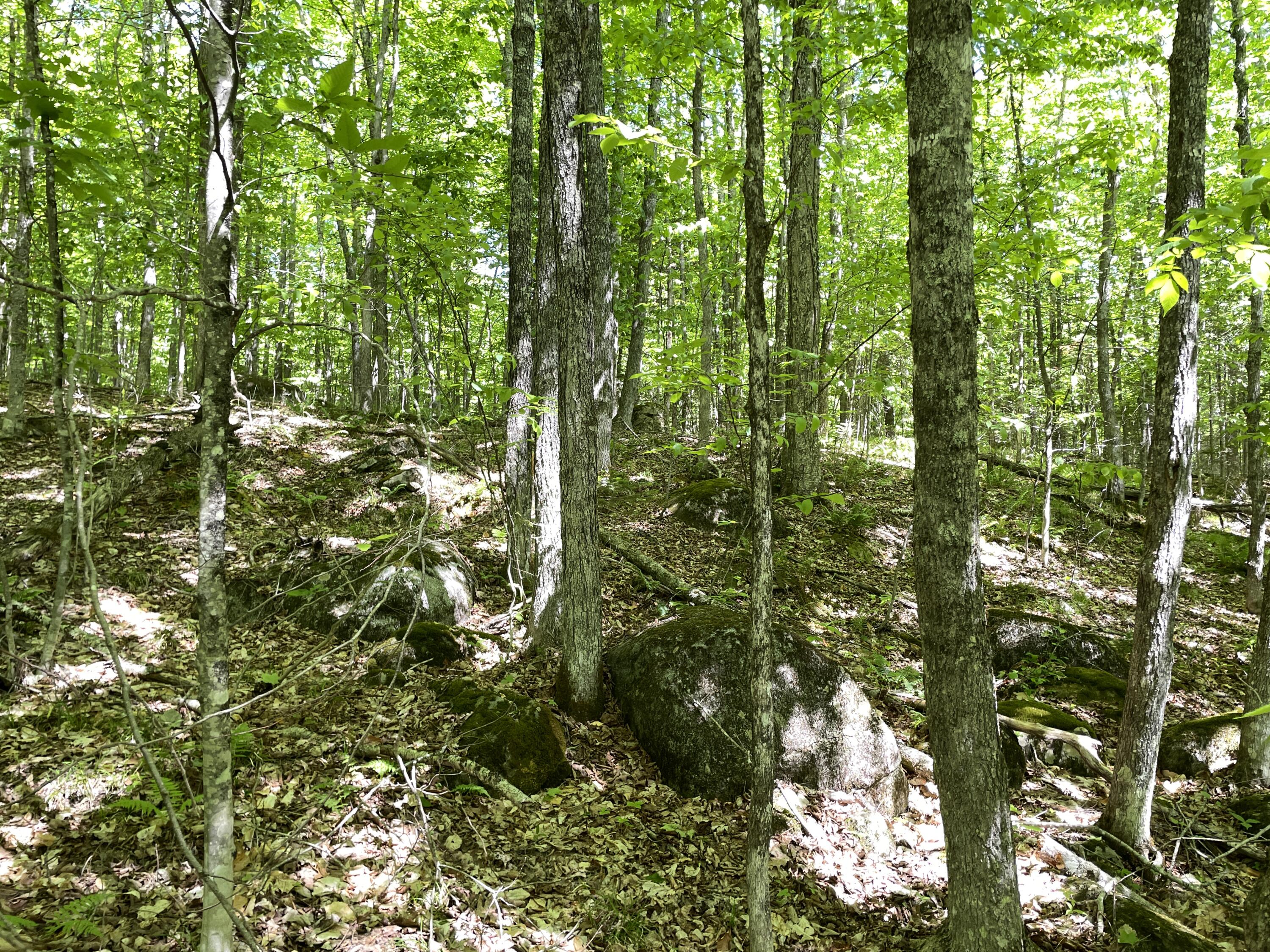 117 Brown Road Harmony, ME 04942 - Photo 23 of 23 IMG_5094