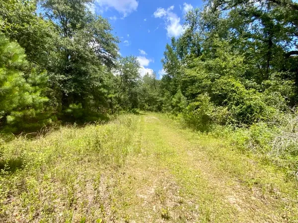 $265,000 | 0 Northeast Dandelion Street, Madison, FL 32340