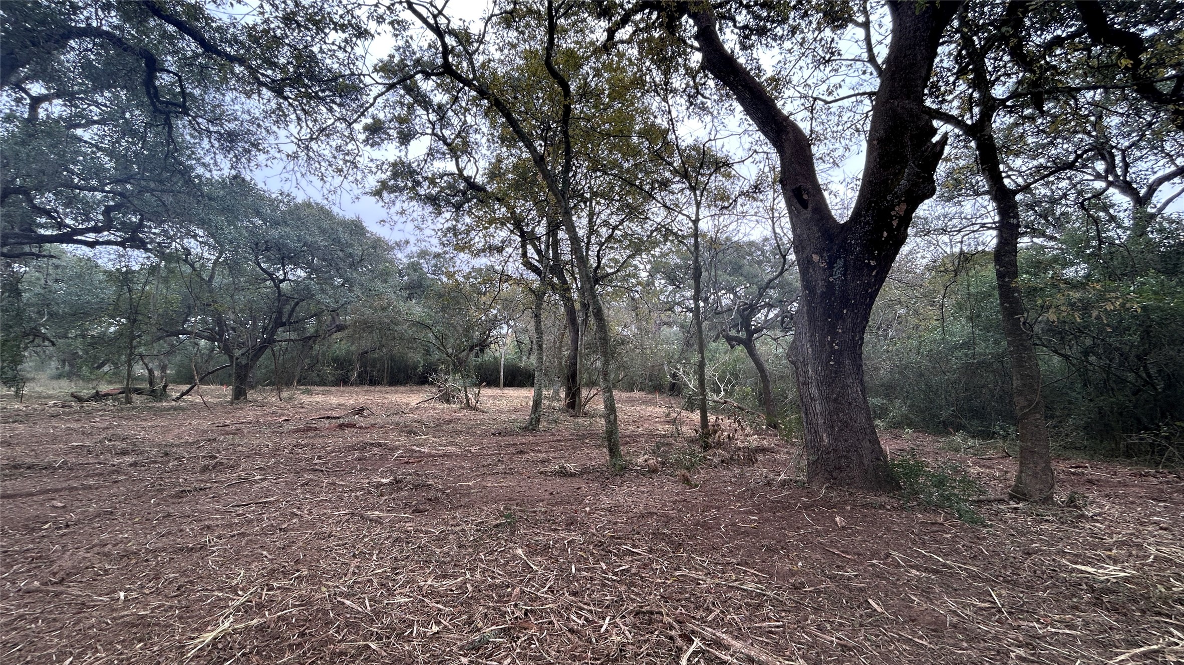1326 County Road 160 Columbus, TX 78934 - Photo 2 of 4 a view of outdoor space with trees