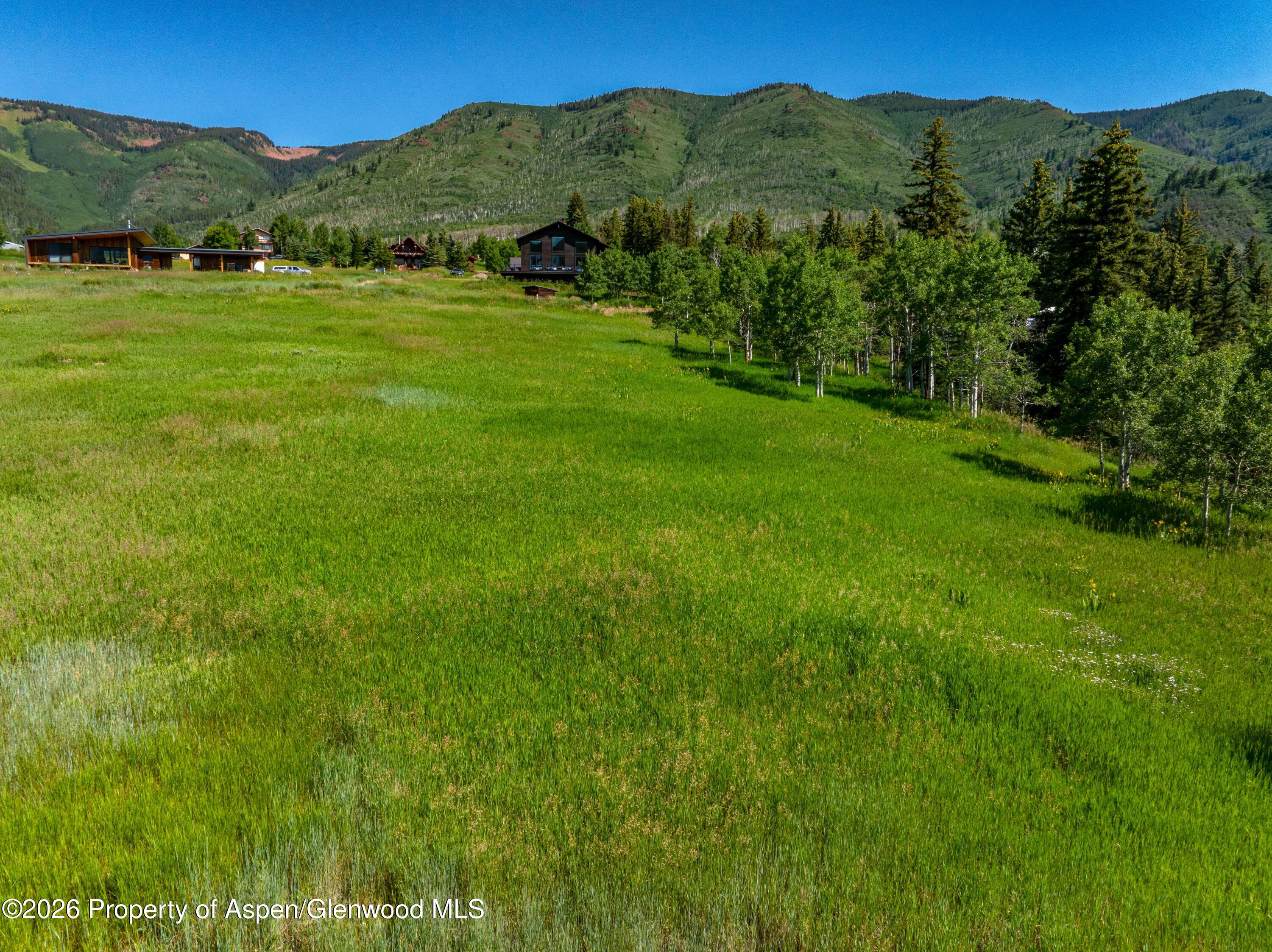 1207 McLaughlin Lane Basalt, CO 81621 - Photo 3 of 8 a view of a lush green hillside and houses