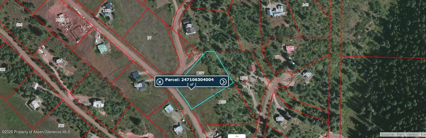 1207 McLaughlin Lane Basalt, CO 81621 - Photo 8 of 8 a view of a tree in a forest