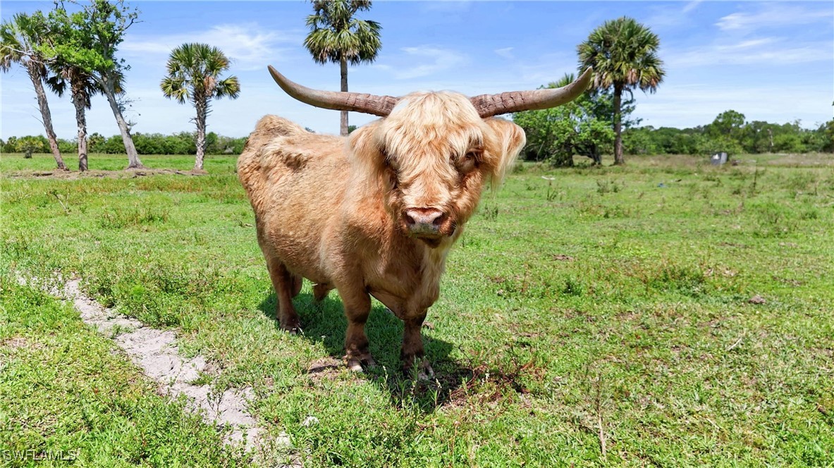 2777 Everhigh Acres Road Clewiston, FL 33440 - Photo 6 of 8 a view of a yard in front of the house with green space