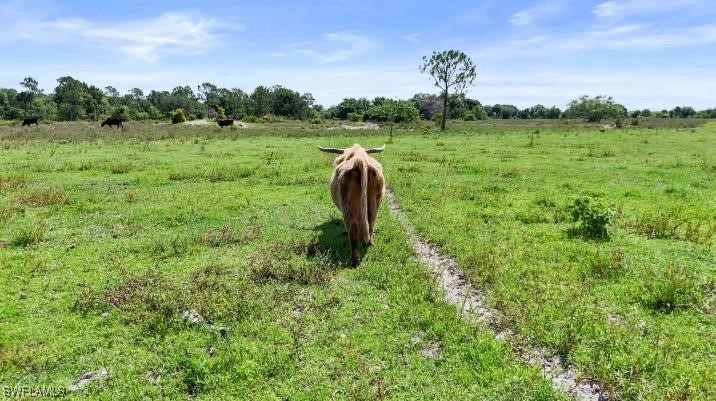2777 Everhigh Acres Road Clewiston, FL 33440 - Photo 8 of 8 a view of a garden with a sink