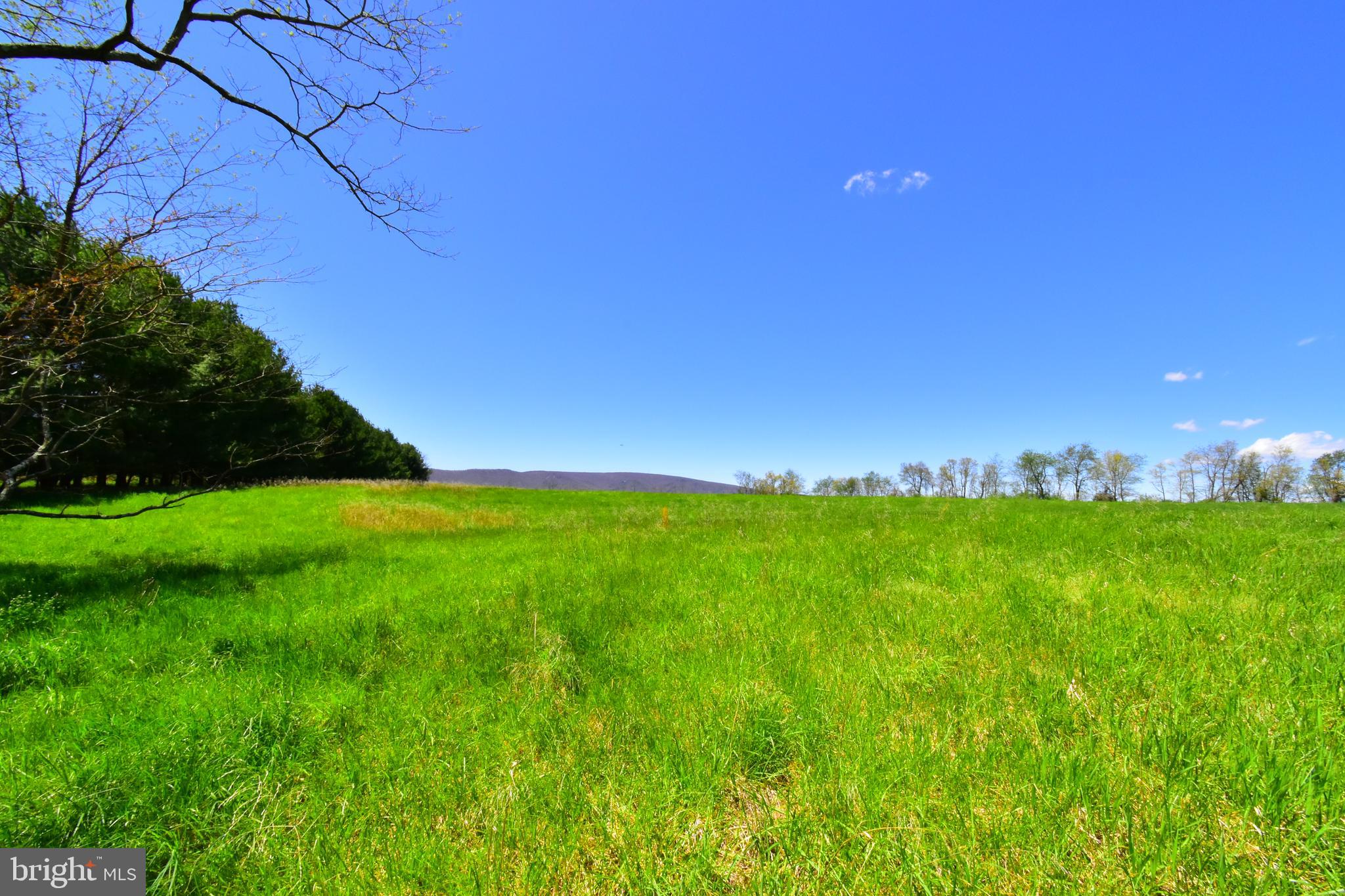 Lot 4 Middle Fork Road Cross Junction, VA 22625 - Photo 1 of 13 One of the best building lots left in Frederick Co