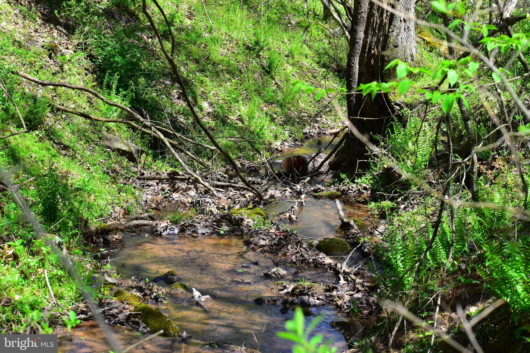 Lot 4 Middle Fork Road Cross Junction, VA 22625 - Photo 8 of 13 Stream that runs through southern edge of lot.