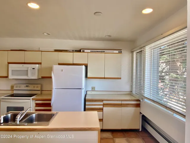 $5,500 | 309 Pacific Avenue, Unit M, Aspen, CO 81611