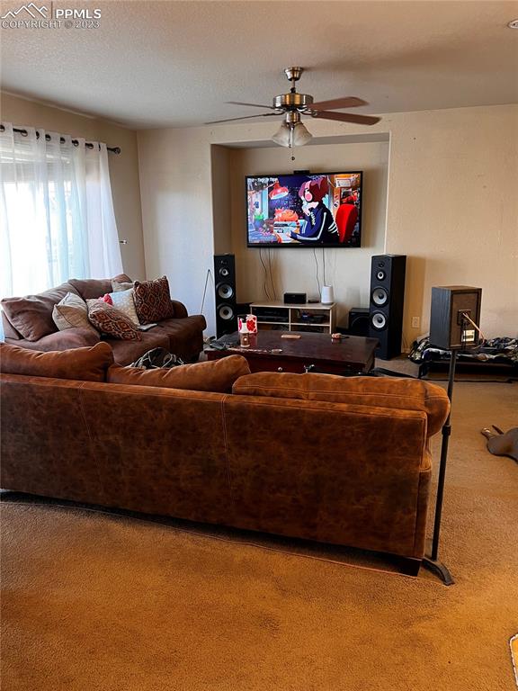 6350 Dancing Moon Way Colorado Springs, CO 80911 - Photo 2 of 12 a living room with furniture and a flat screen tv