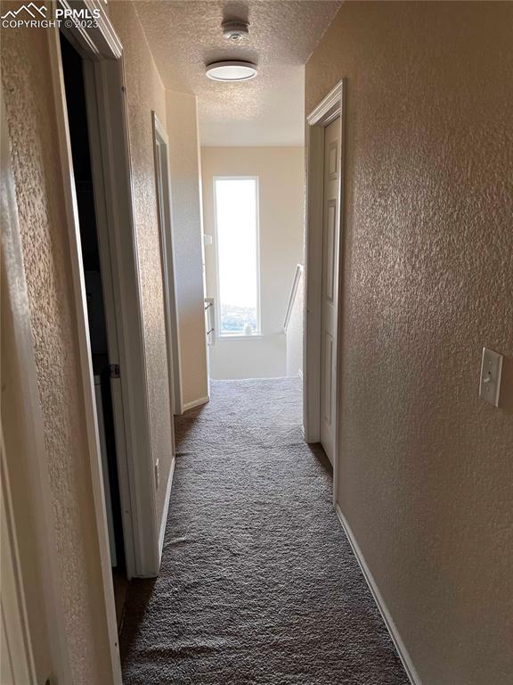 6350 Dancing Moon Way Colorado Springs, CO 80911 - Photo 6 of 12 a view of hallway with wooden floor