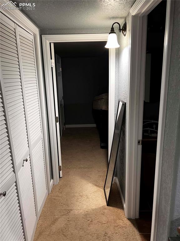 6350 Dancing Moon Way Colorado Springs, CO 80911 - Photo 8 of 12