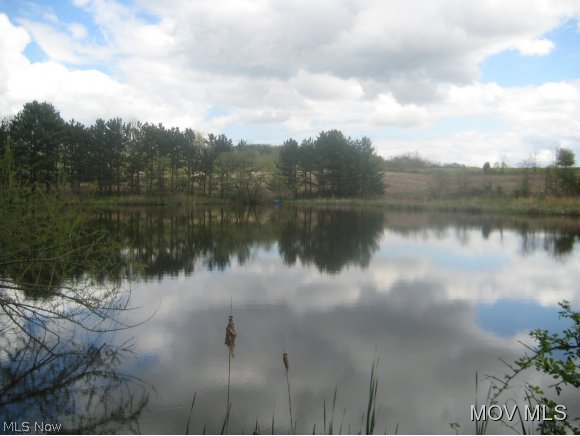 Pond