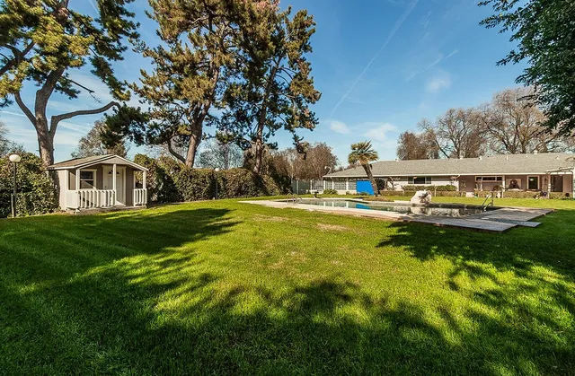 a view of a big yard with plants and large trees