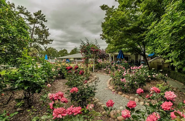 $1,550,000 | 3670 South Newmark Avenue, Sanger, CA 93657