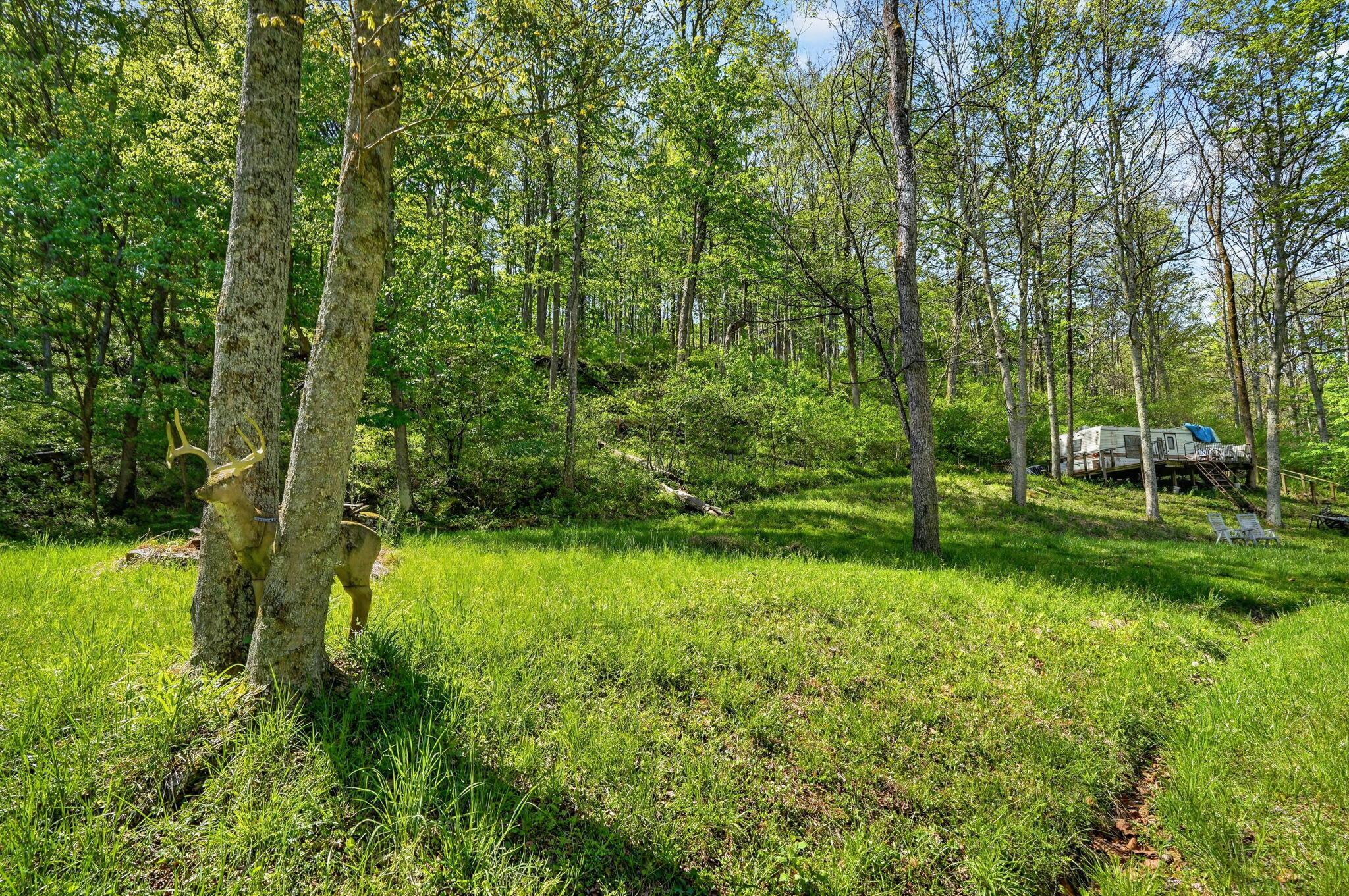 15955 Fossil Rock Road Guysville, OH 45735 - Photo 7 of 28 15955 Fossil Rock Rd