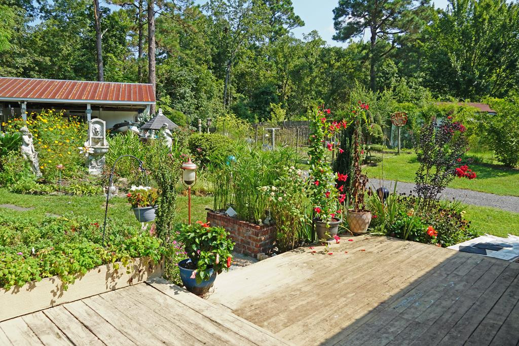 149 Pineridge Road Elloree, SC 29047 - Photo 12 of 40