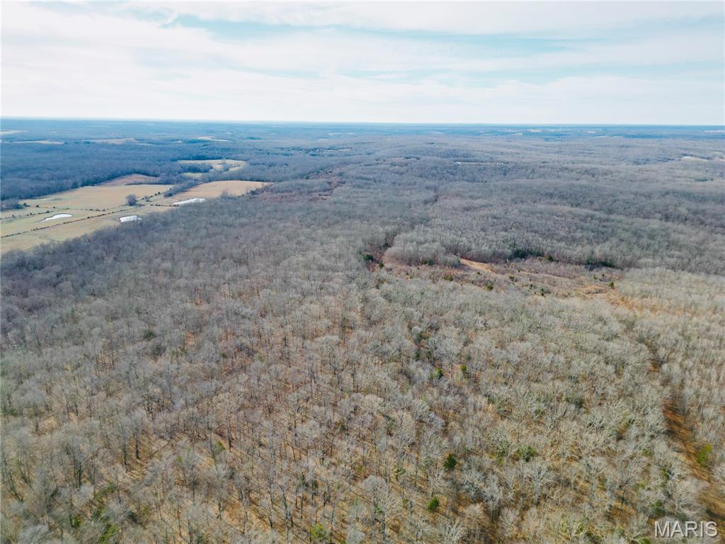 5 Acres State Highway Edgar Springs, MO 65462 - Photo 3 of 4