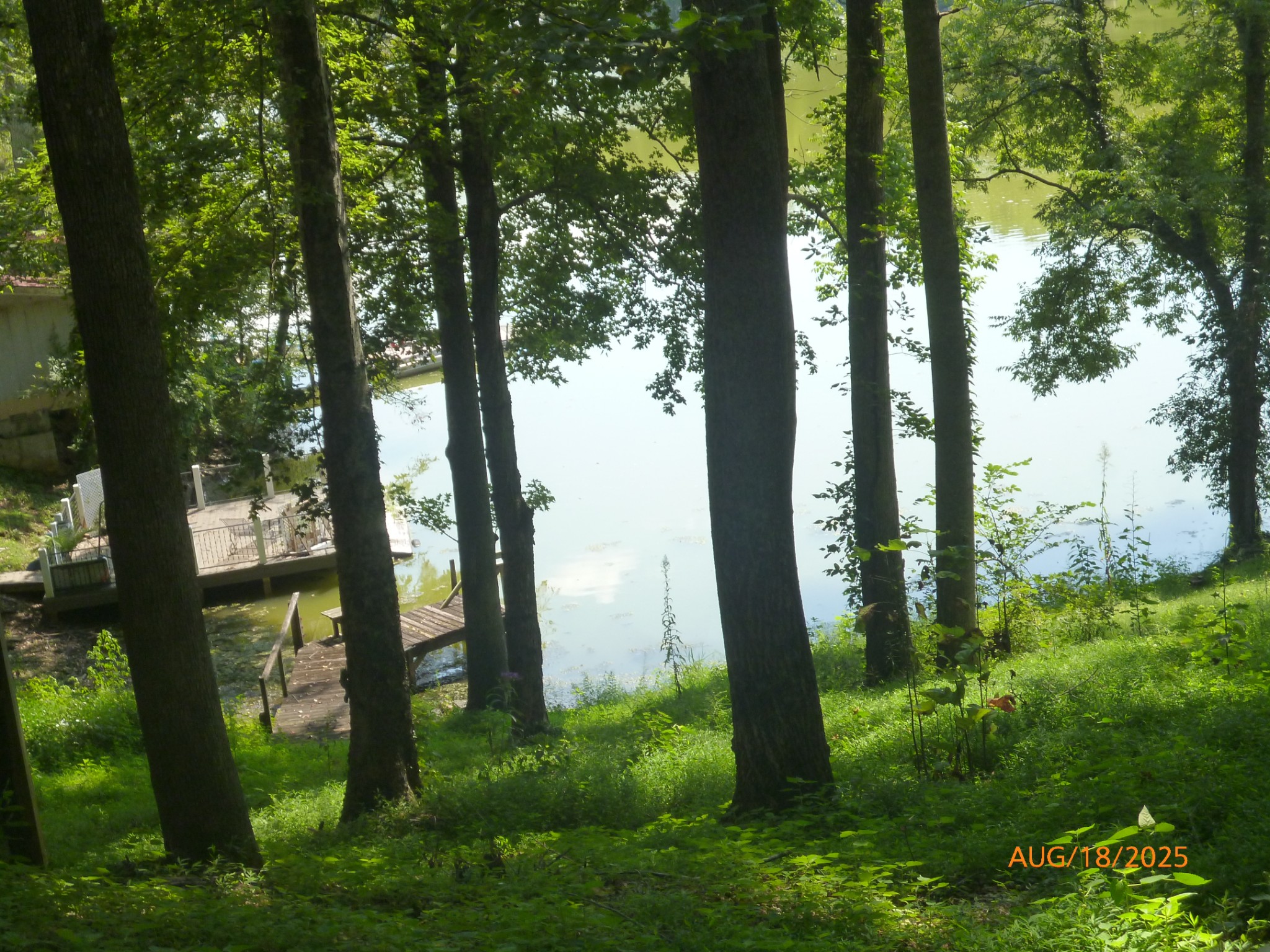 477 Lake Logan Road Ardmore, TN 38449 - Photo 2 of 14