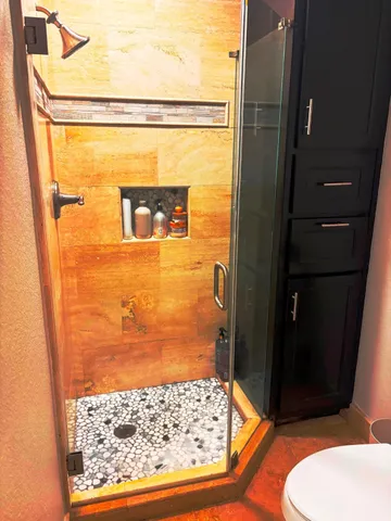 a bathroom with a shower and a toilet