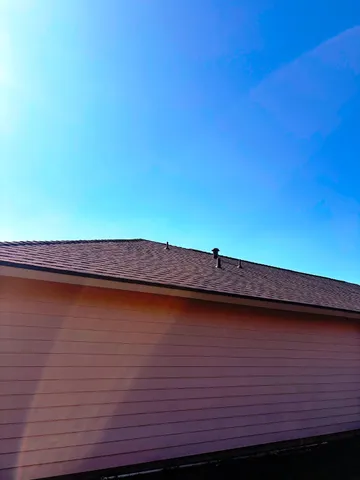 a view of a backyard with a large tree