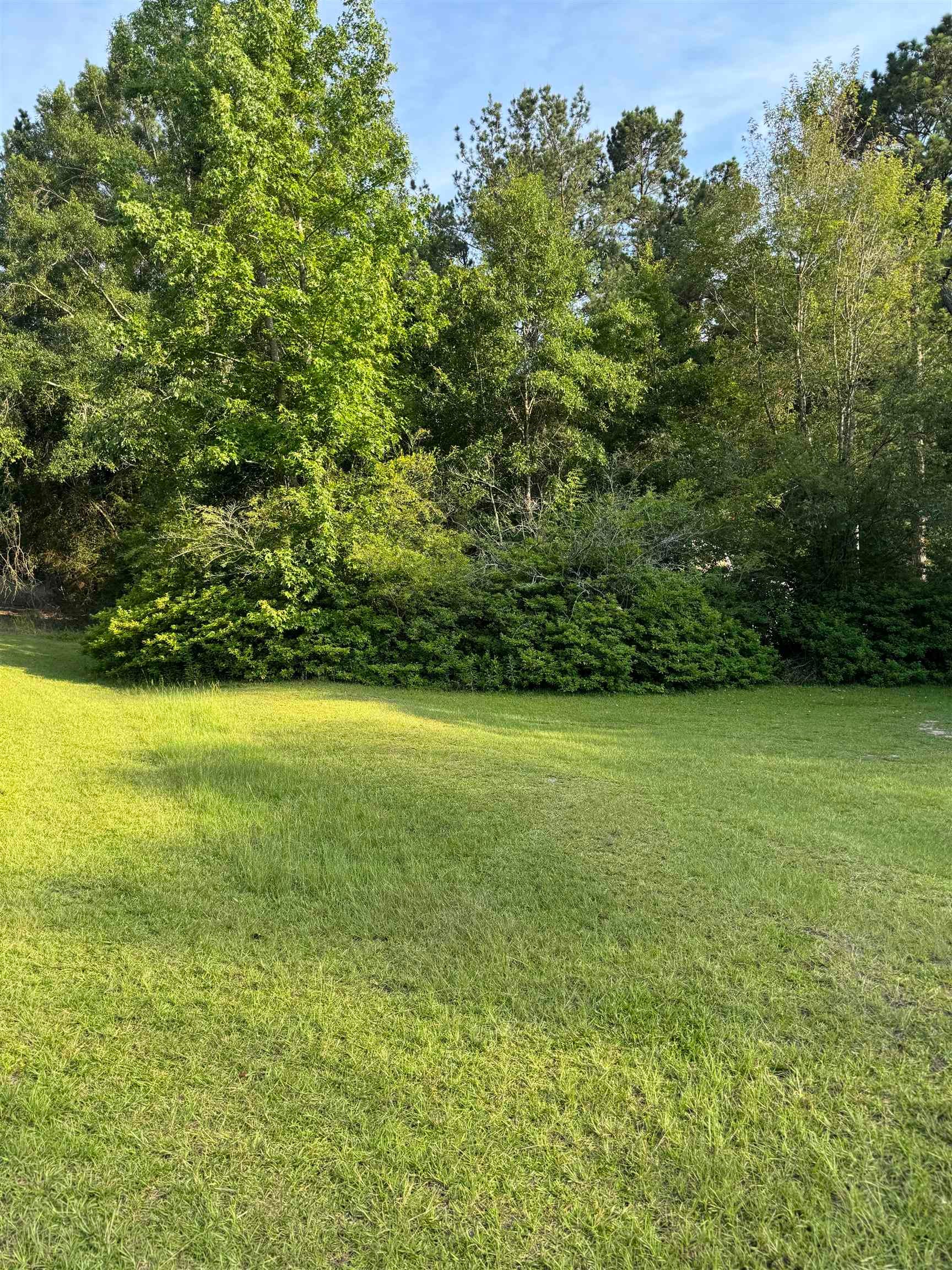 2630 Lester Bell Road Brantley, AL 36009 - Photo 1 of 4 Gallery Image 1