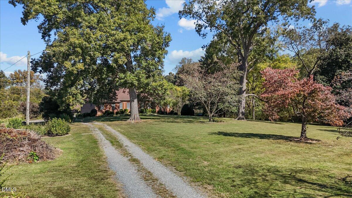 6464 Bonlee Road Bear Creek, NC 27207 - Photo 6 of 82 a view of a park with large trees
