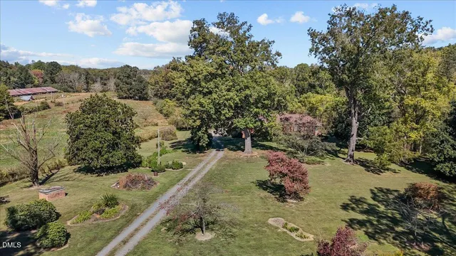 a view of a yard with large trees