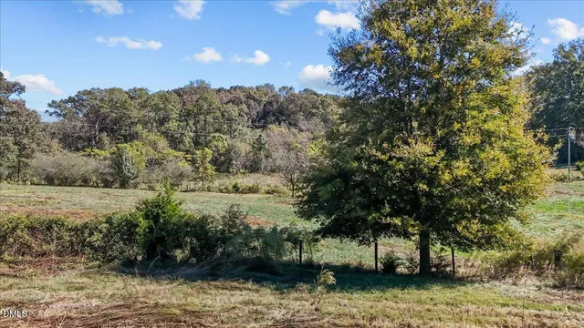 a view of a field with large trees