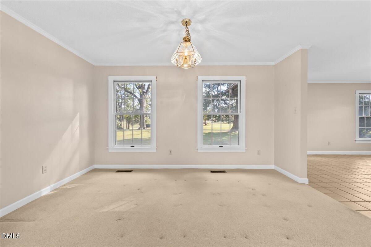 6464 Bonlee Road Bear Creek, NC 27207 - Photo 27 of 82 46-DSC09932