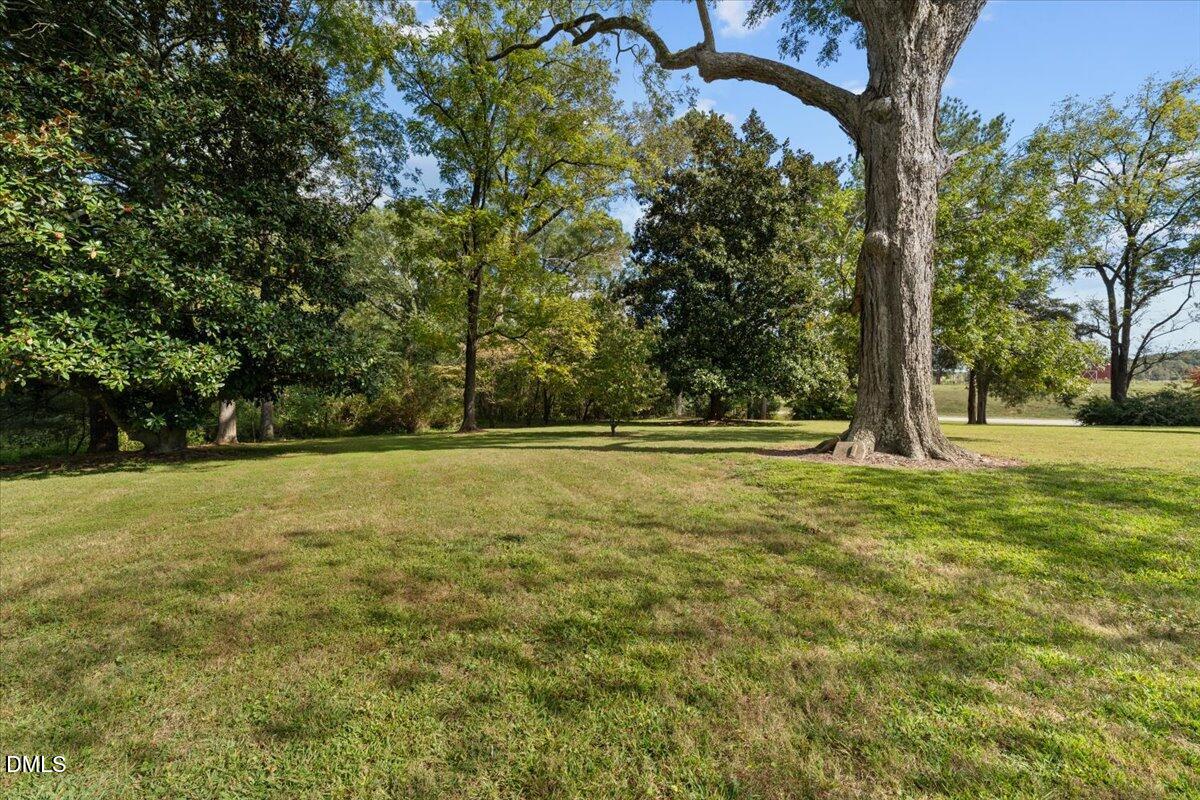 6464 Bonlee Road Bear Creek, NC 27207 - Photo 5 of 82 a view of outdoor space with yard