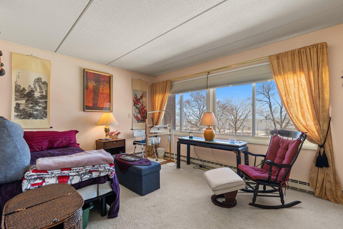 111 11th Street, Unit 3AN Racine, WI 53403 - Photo 14 of 28 Primary Bedroom