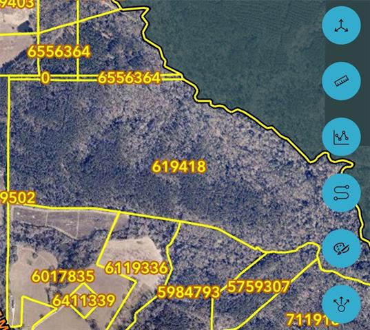 220-acres Z McDaniel Road Franklinton, LA 70438 - Photo 2 of 3
