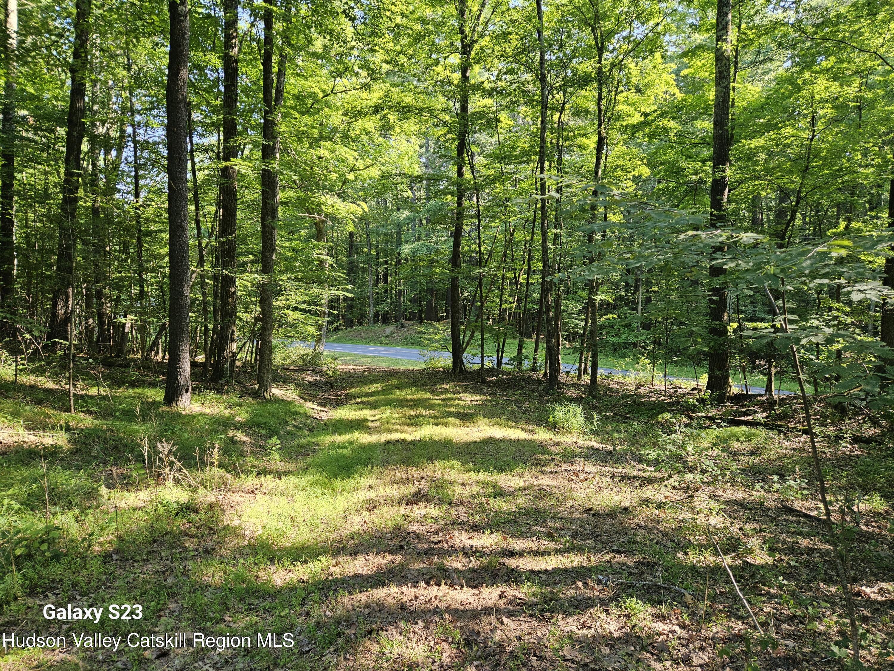 0 Hearts Content Road Catskill, NY 12414 - Photo 12 of 21 20260711_164854
