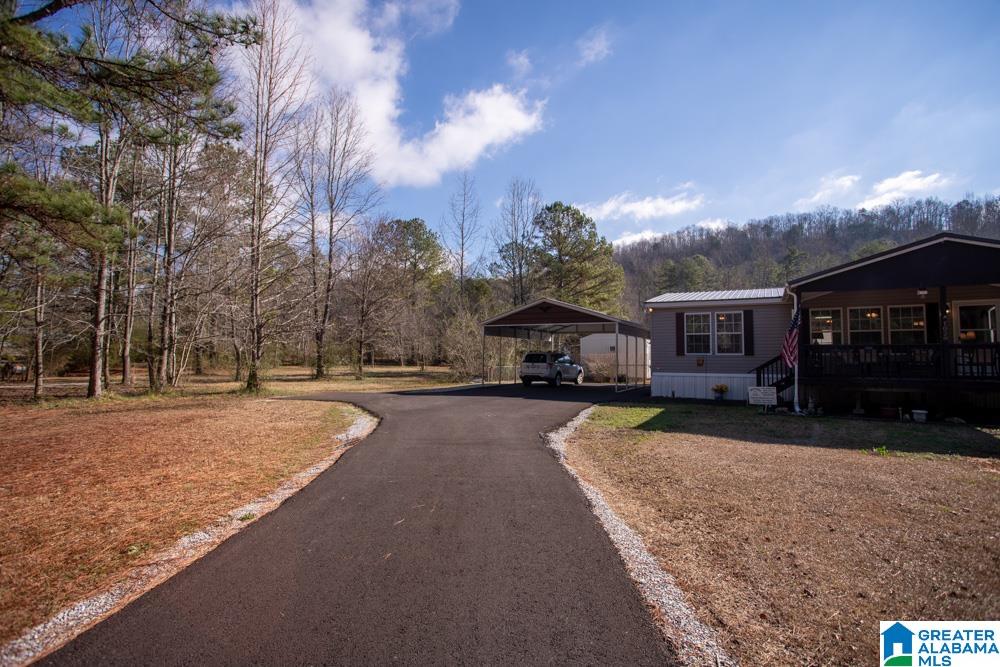 1028 Mt Gilead Road Jacksonville, AL 36265 - Photo 3 of 42