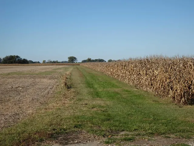 $640,000 | 4500 East 300 North, Hamlet, IN 46532