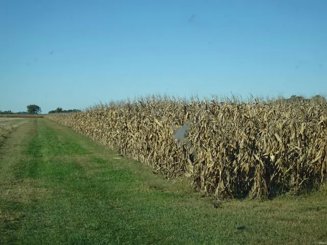 $640,000 | 4500 East 300 North, Hamlet, IN 46532