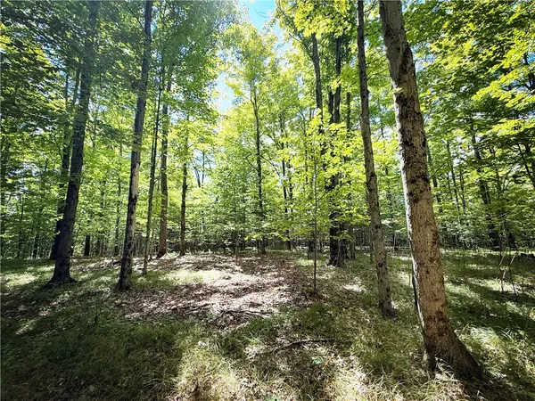 $119,900 | 0 Cornell Hollow Road, Apalachin, NY 13732