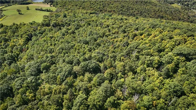 $119,900 | 0 Cornell Hollow Road, Apalachin, NY 13732