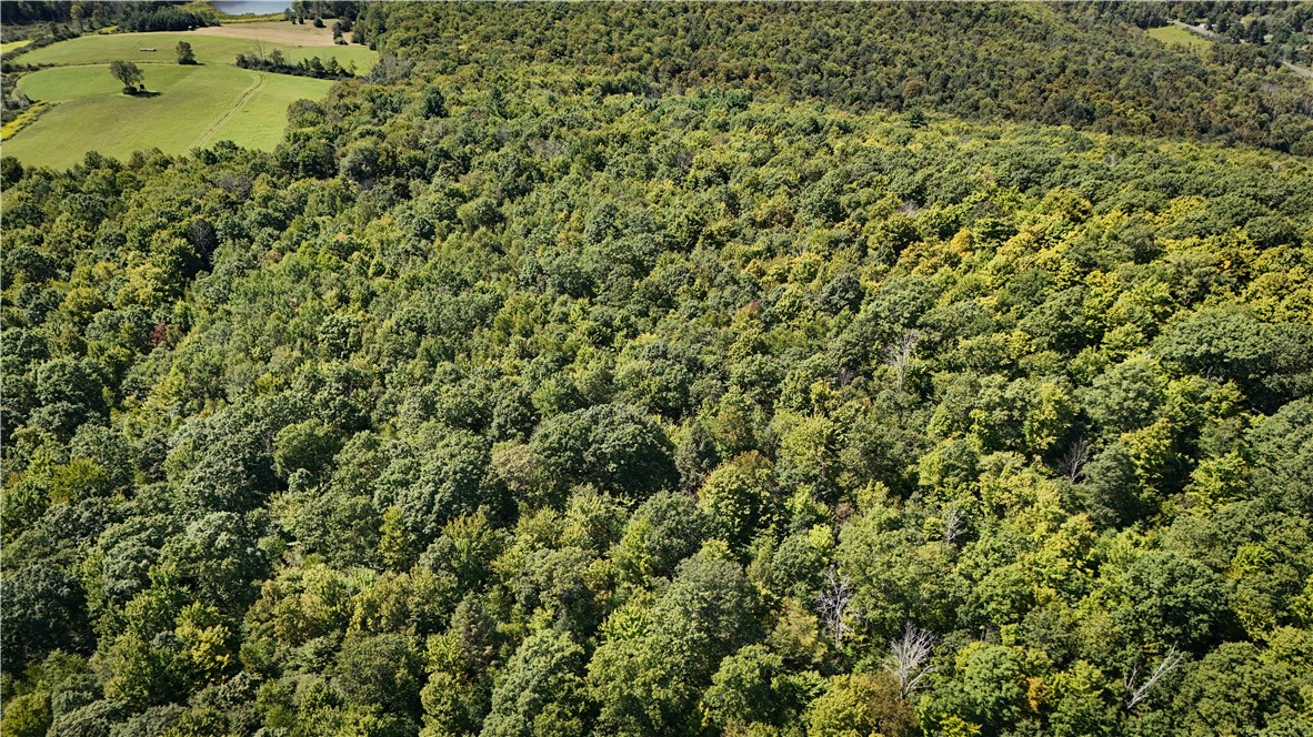 0 Cornell Hollow Road Apalachin, NY 13732 - Photo 11 of 30