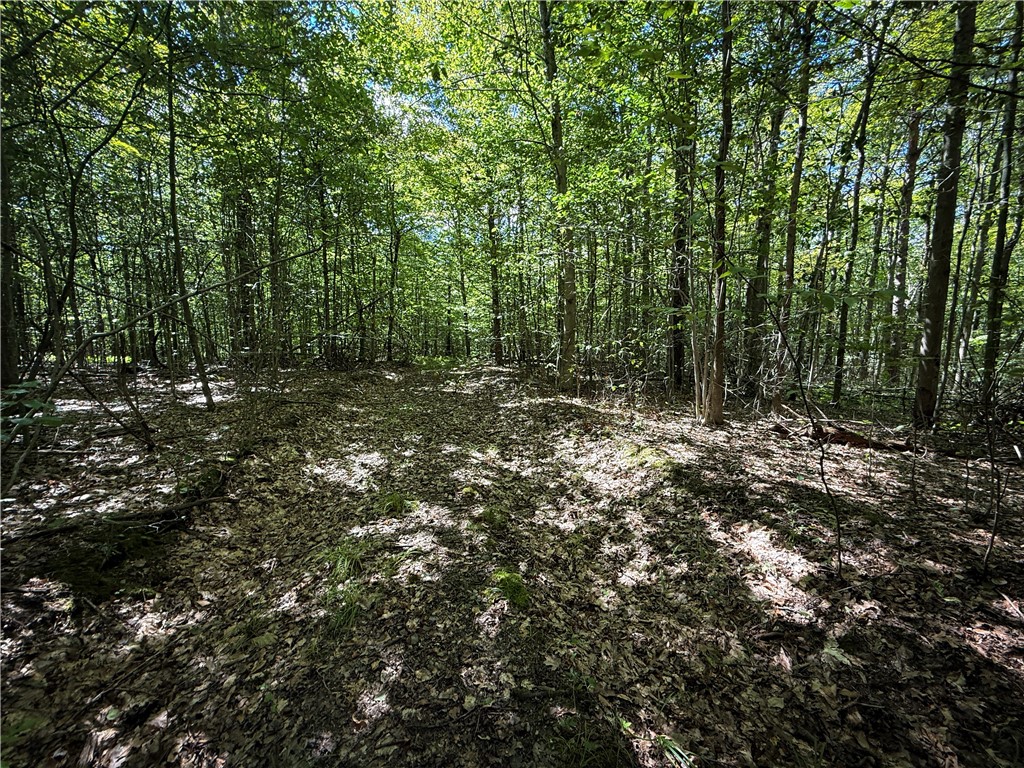 0 Cornell Hollow Road Apalachin, NY 13732 - Photo 12 of 30