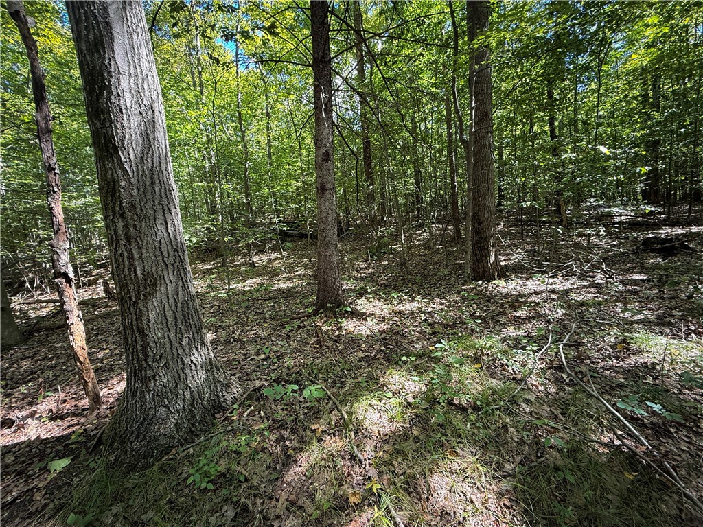 0 Cornell Hollow Road Apalachin, NY 13732 - Photo 13 of 30