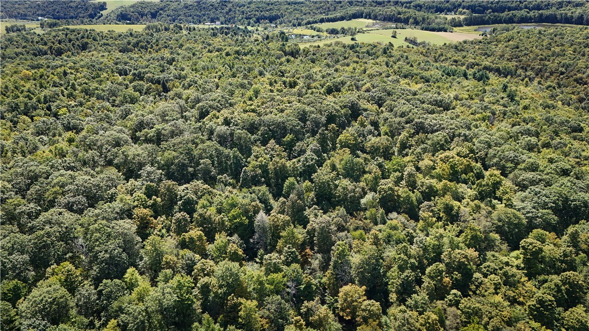 0 Cornell Hollow Road Apalachin, NY 13732 - Photo 19 of 30