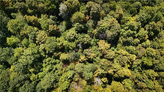 $119,900 | 0 Cornell Hollow Road, Apalachin, NY 13732