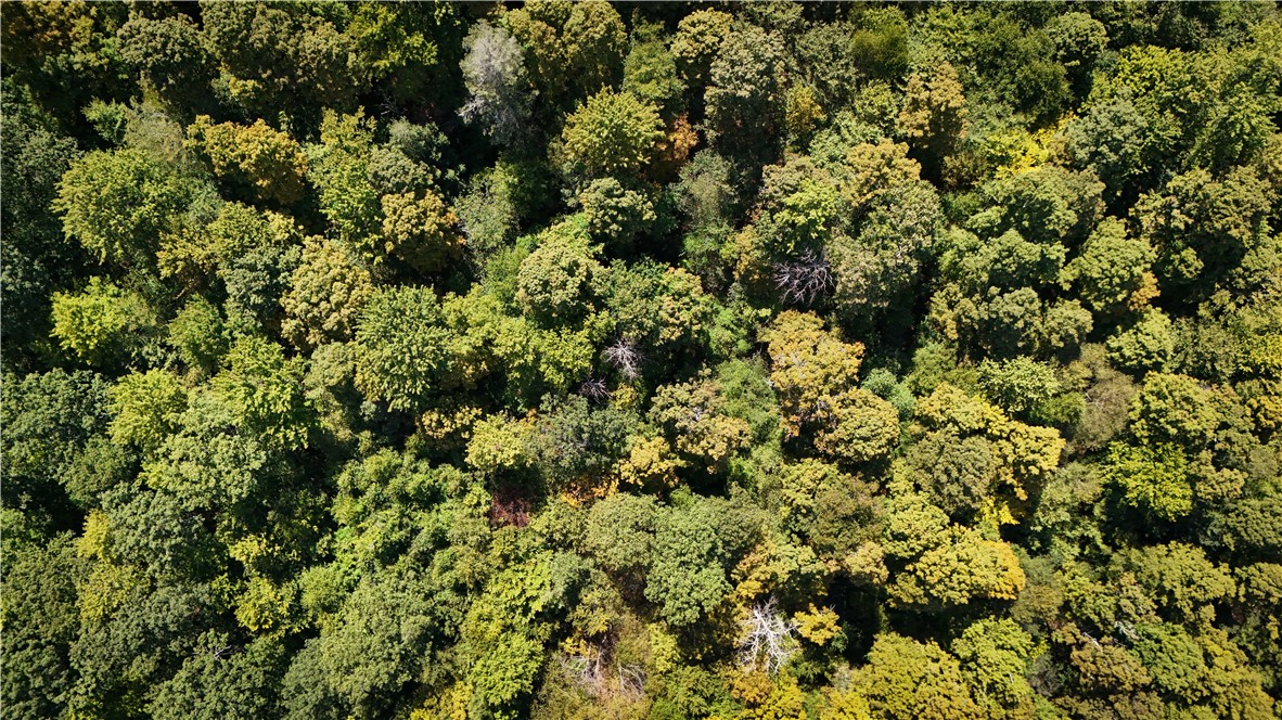 0 Cornell Hollow Road Apalachin, NY 13732 - Photo 20 of 30