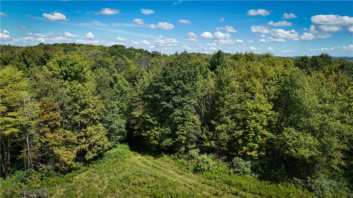 0 Cornell Hollow Road Apalachin, NY 13732 - Photo 2 of 30